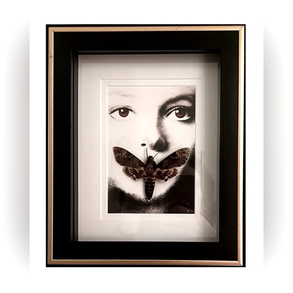 Oddity Silence of the Lambs Taxidermy Death Moth Hand-Mounted/Made Wall Decor